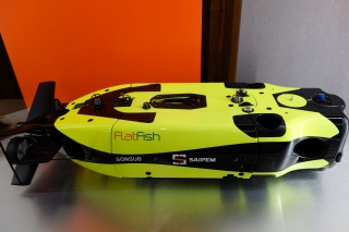 SAIPEMFlatFish楤եδƻɥ