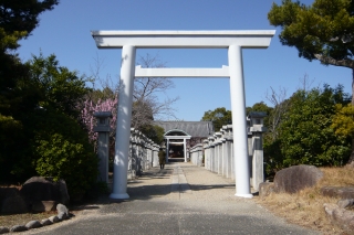 �溴Ʀ�ο���