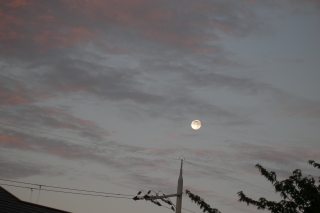 雲間の月