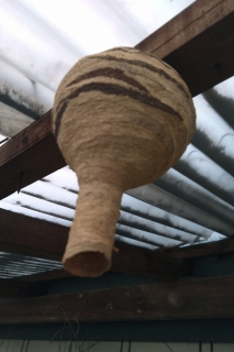 ������������Х��ν������